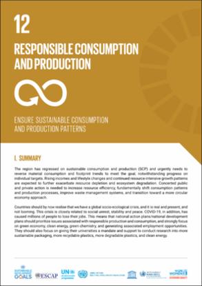 SDG 12 : Responsible Consumption And Production